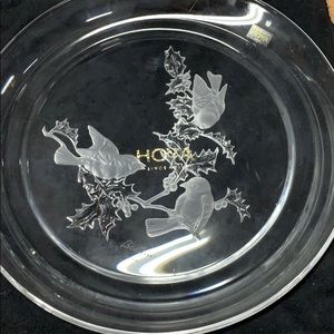 🎁Hoya crystal in box